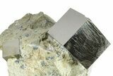Two Large Natural Pyrite Cube In Rock - Navajun, Spain #361818-1